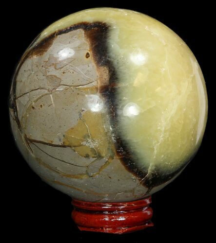 Polished Septarian Sphere - With Stand #43858